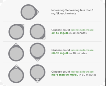 Illustration showing Dexcom CGM System Glucose Trend Arrows and brief explanation of meaning.