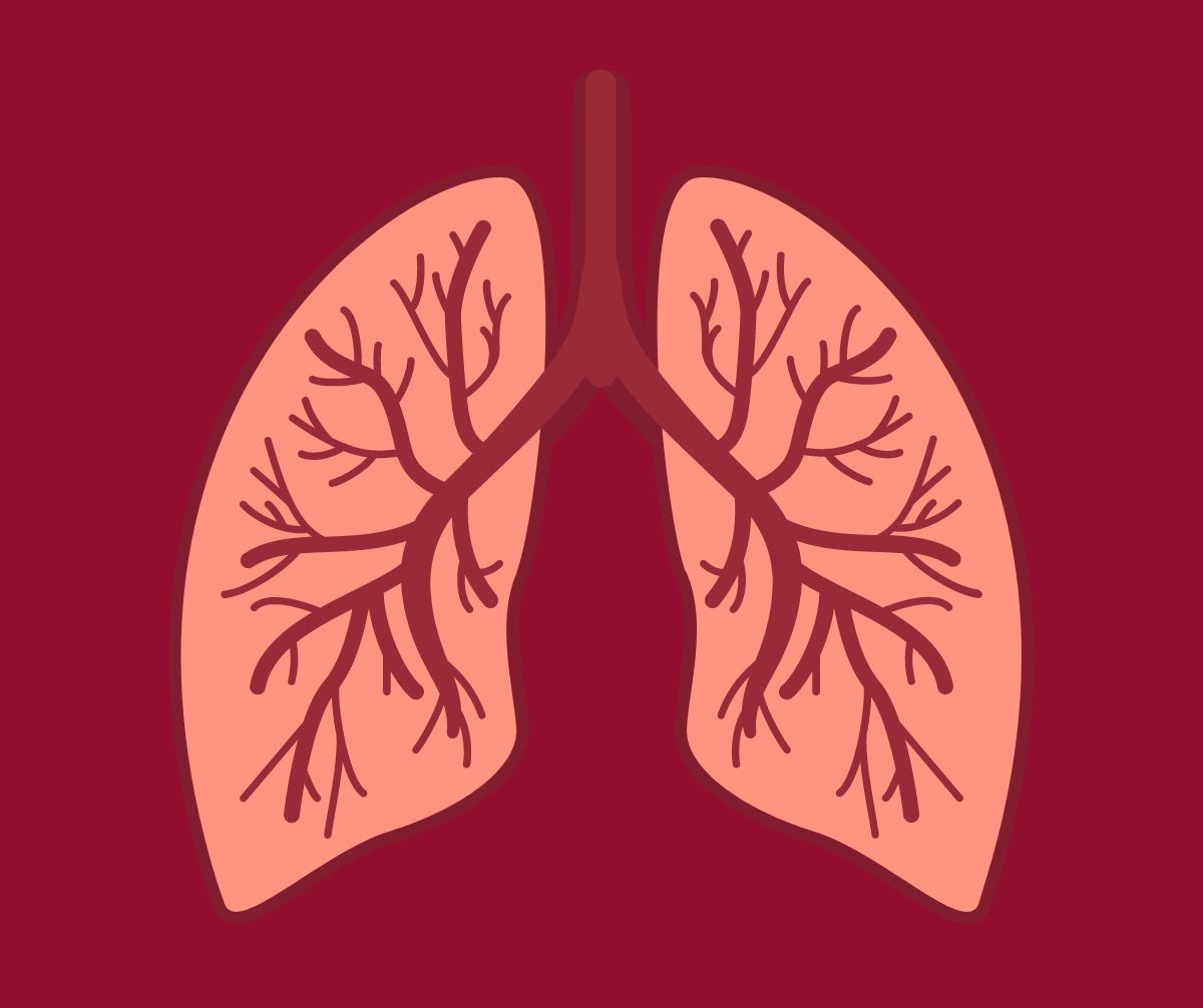 lungs