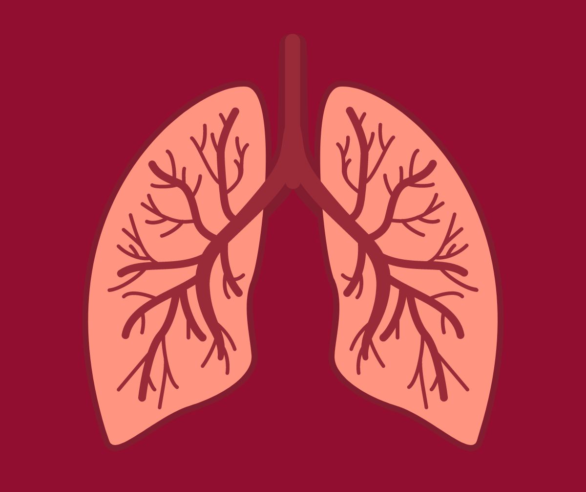 lungs